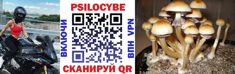 Псилоцибиновые грибы Cubensis  Игра 